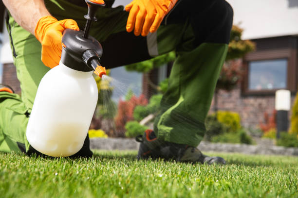 Best Ant Control Services  in Pearl River, MS