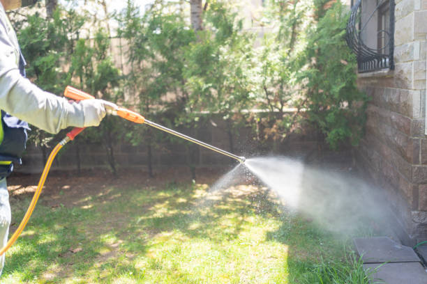 Best Emergency Pest Control  in Pearl River, MS